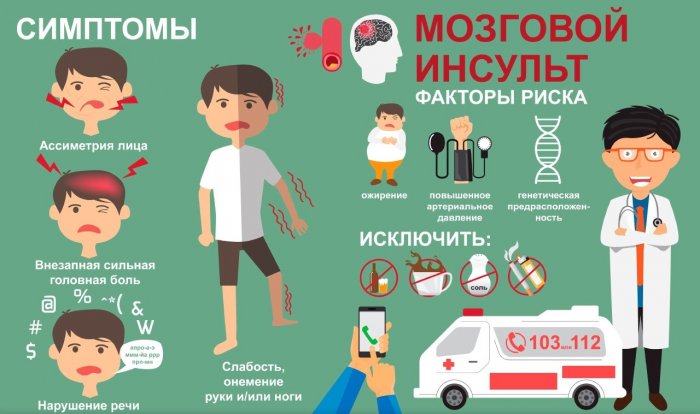 Про полис: профилактика и лечение инсульта по ОМС